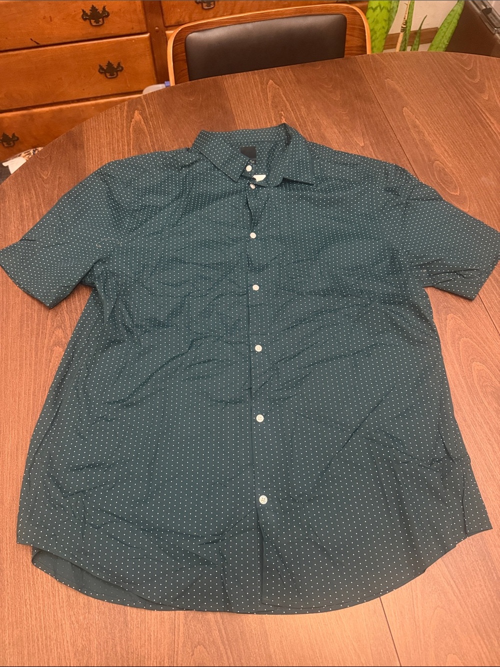 H&M Teal Short Sleeve Button-Down Shirt with White Microdots